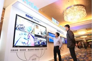 9月9日海爾智能家電節(jié) 依托3.8萬社群，引領(lǐng)互聯(lián)網(wǎng)信息服務(wù)新浪潮
