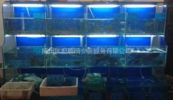 揚州慶亞 從海鮮玻璃魚缸制作到美發飾品銷售，專業匠心贏得市場口碑